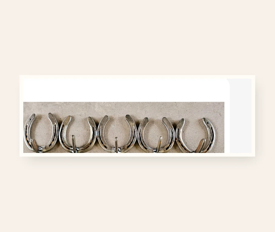 Coat Hooks, handmade welded horseshoe art by Addison at Rusty Spur Ranch in Arizona